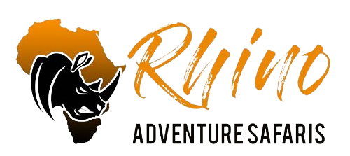 logo-removebg-preview (1)